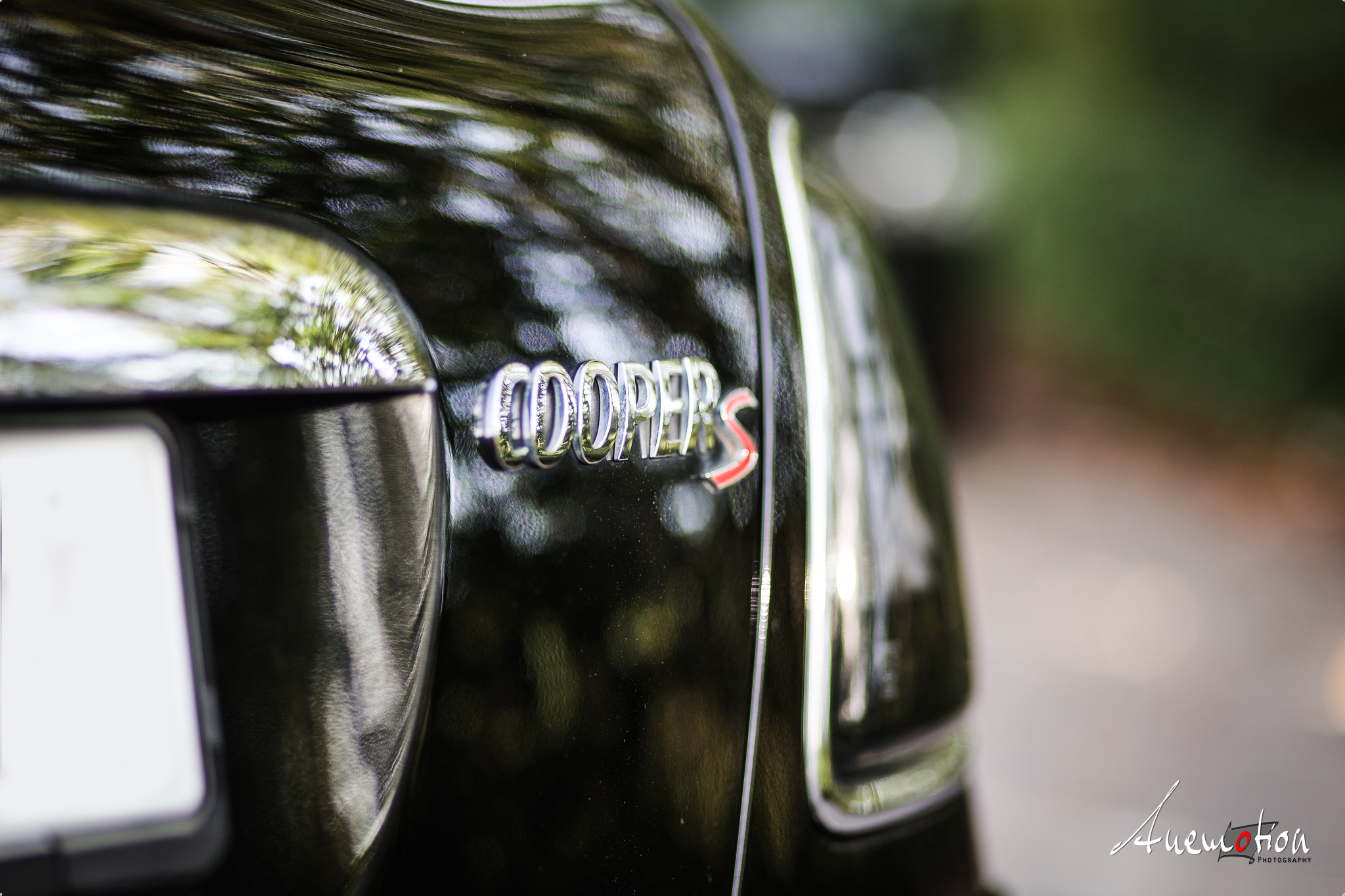 Petra MiniCooper (5)